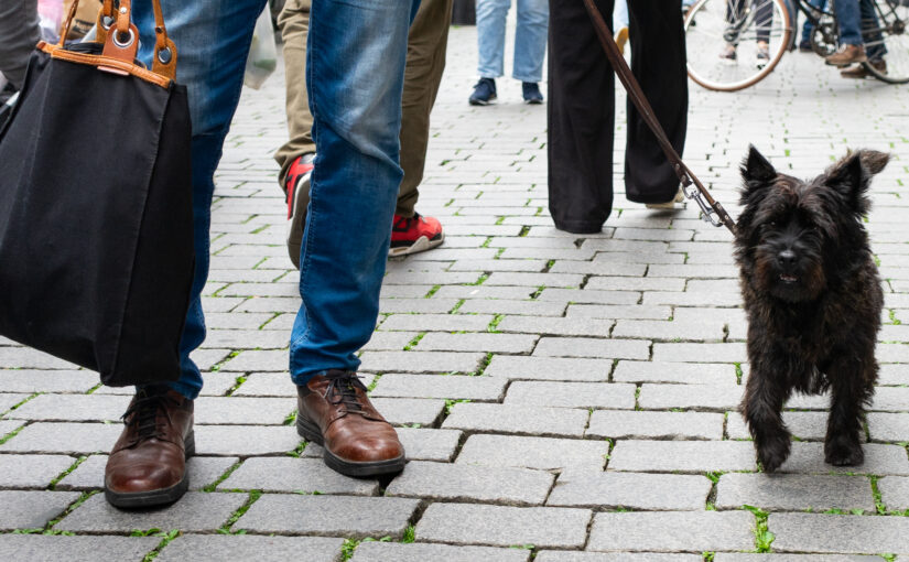 Straatfotografie